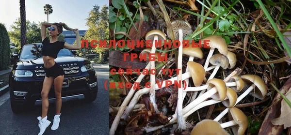 MDMA Premium VHQ Карпинск