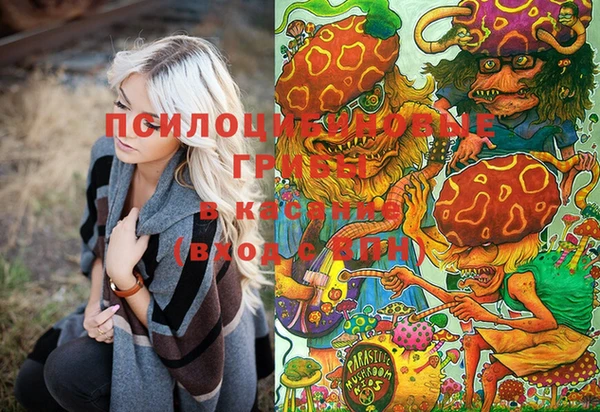 гашиш Касимов