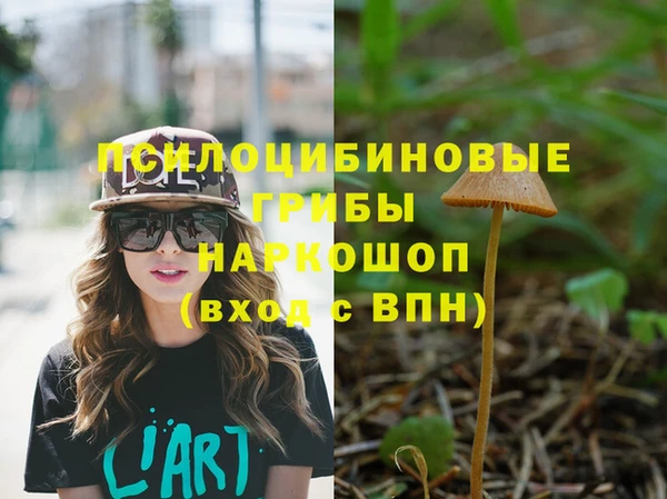 гашиш Касимов